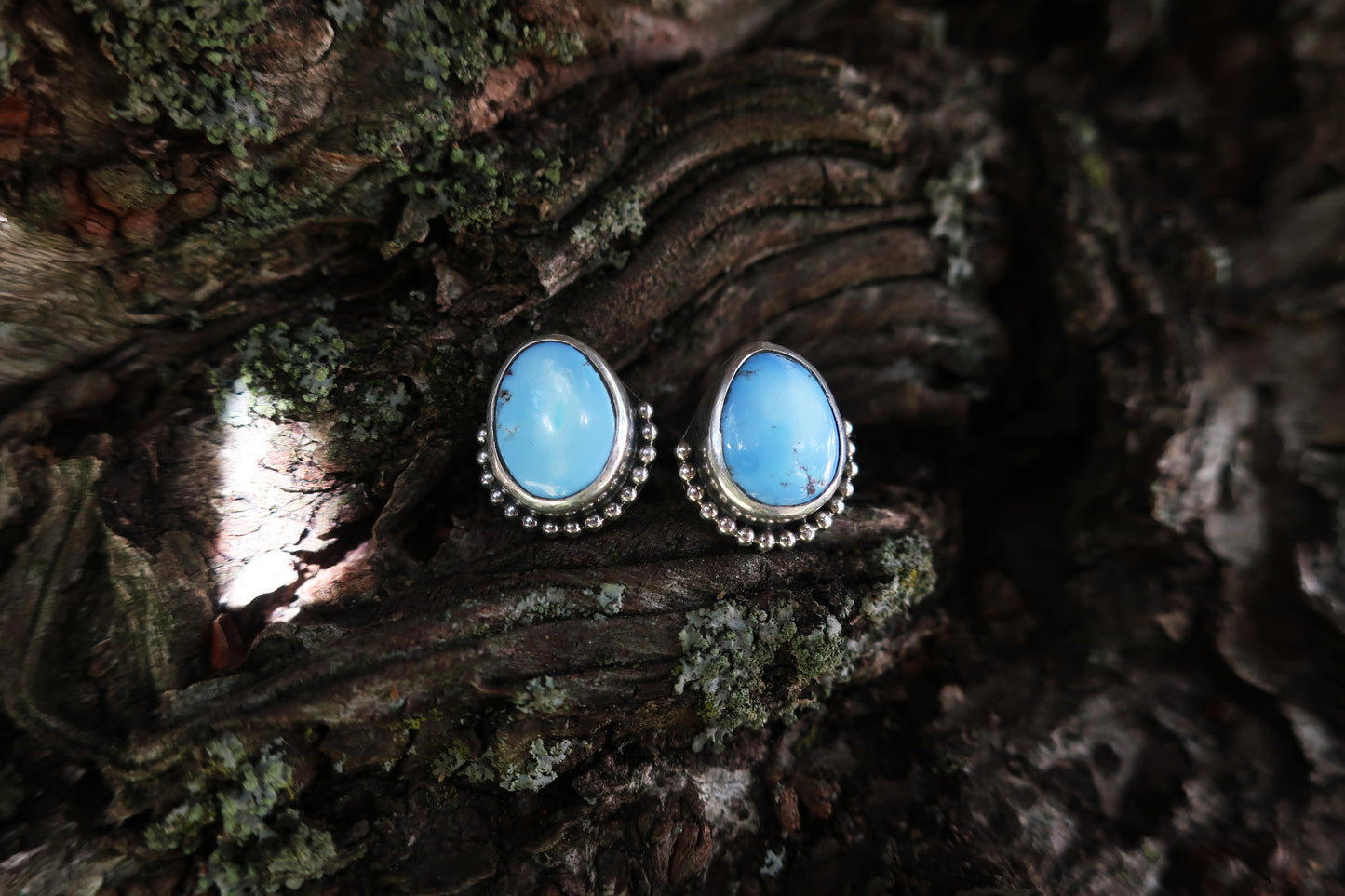 Petrichor Stud Earrings